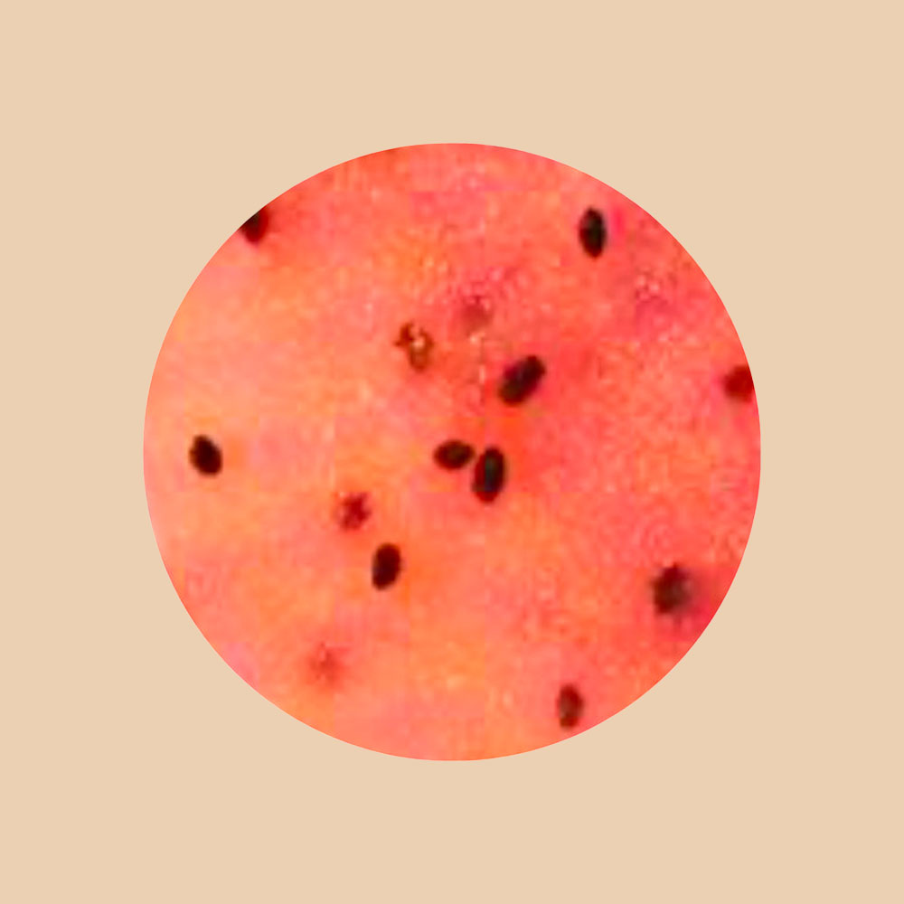 Masque hydrogel antioxidant à la Goji